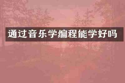 通过音乐学编程能学好吗