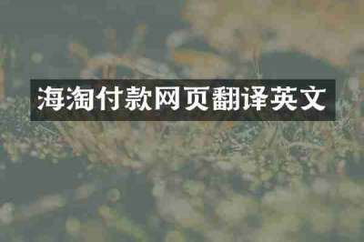 海淘付款网页翻译英文