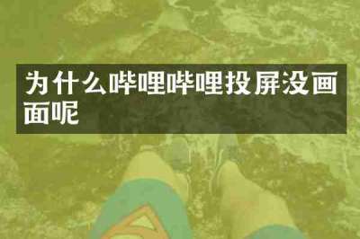 为什么哔哩哔哩投屏没画面呢