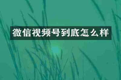 微信视频号到底怎么样