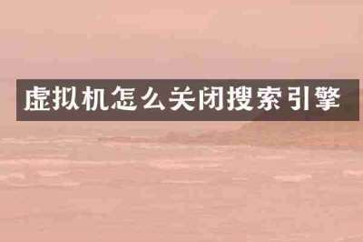 虚拟机怎么关闭搜索引擎