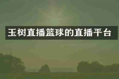 玉树直播篮球的直播平台