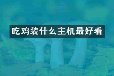 吃鸡装什么主机最好看