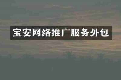 宝安网络推广服务外包