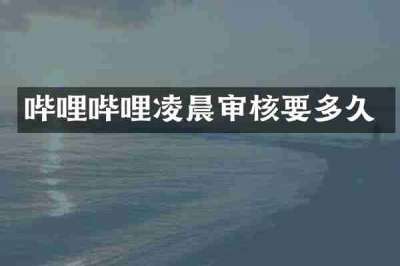 哔哩哔哩凌晨审核要多久