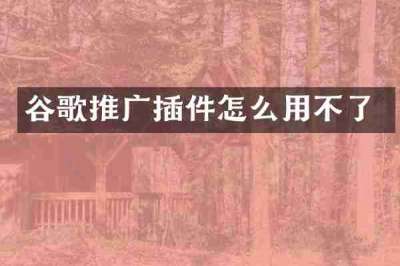 谷歌推广插件怎么用不了