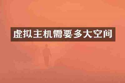 虚拟主机需要多大空间