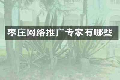枣庄网络推广专家有哪些
