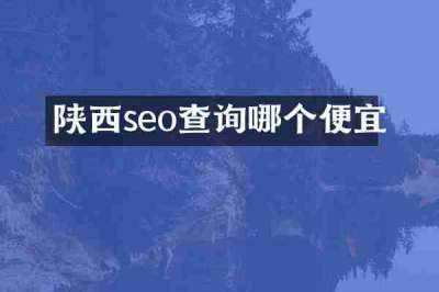 陕西seo查询哪个便宜