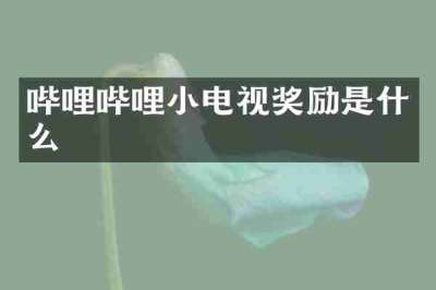 哔哩哔哩小电视奖励是什么