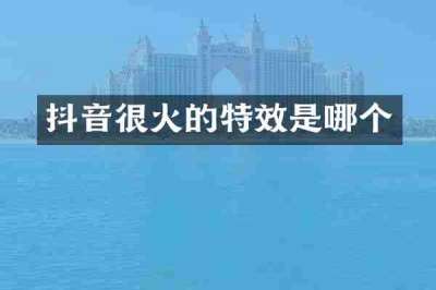 抖音很火的特效是哪个