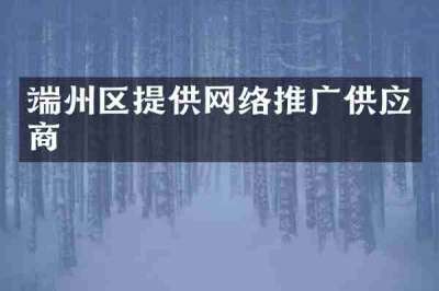 端州区提供网络推广供应商