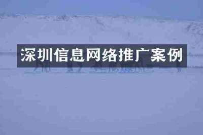 深圳信息网络推广案例