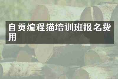 自贡编程猫培训班报名费用