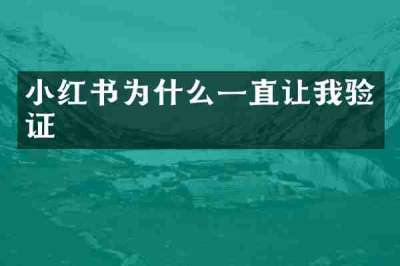 小红书为什么一直让我验证