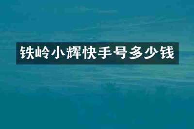 铁岭小辉快手号多少钱