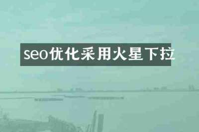 seo优化采用火星下拉