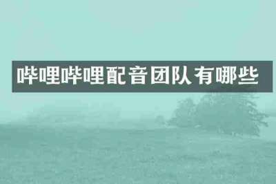 哔哩哔哩配音团队有哪些