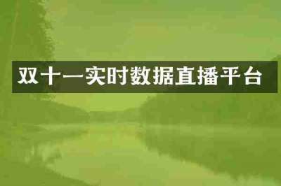 双十一实时数据直播平台
