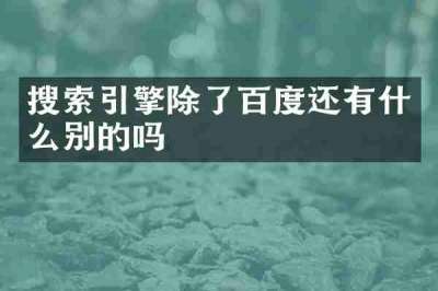搜索引擎除了百度还有什么别的吗