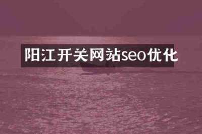 阳江开关网站seo优化