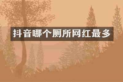 抖音哪个厕所网红最多