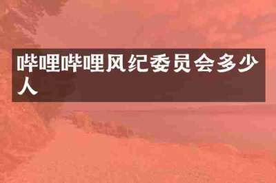 哔哩哔哩风纪委员会多少人