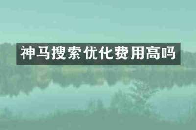 神马搜索优化费用高吗