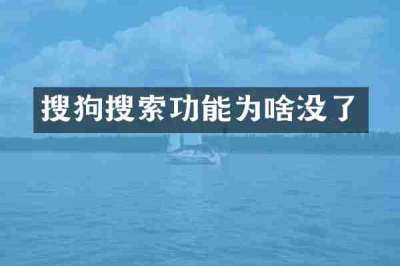 搜狗搜索功能为啥没了