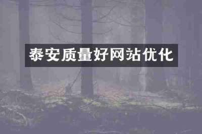 泰安质量好网站优化