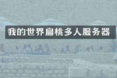 我的世界扁桃多人服务器