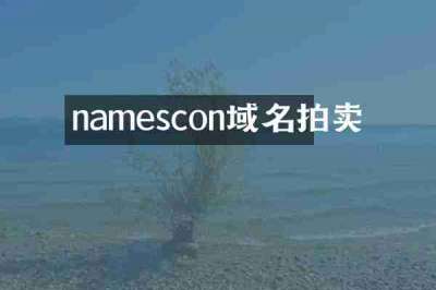 namescon域名拍卖