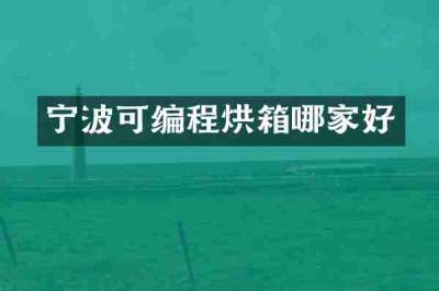 宁波可编程烘箱哪家好