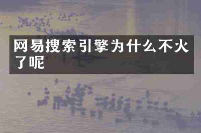 网易搜索引擎为什么不火了呢