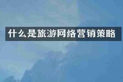 什么是旅游网络营销策略