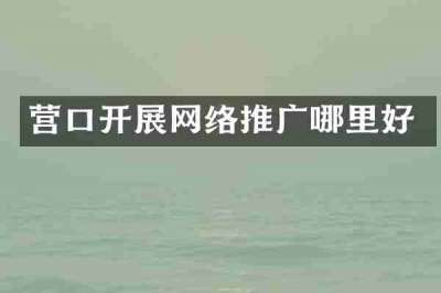 营口开展网络推广哪里好