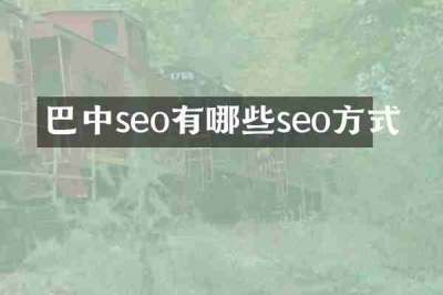 巴中seo有哪些seo方式