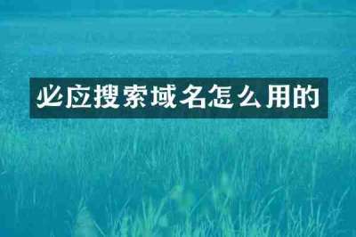 必应搜索域名怎么用的