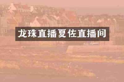 龙珠直播夏佐直播间