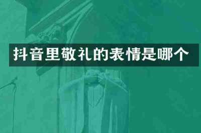 抖音里敬礼的表情是哪个