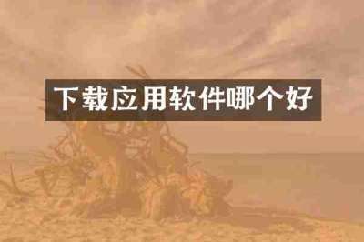 下载应用软件哪个好