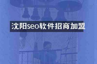沈阳seo软件招商加盟