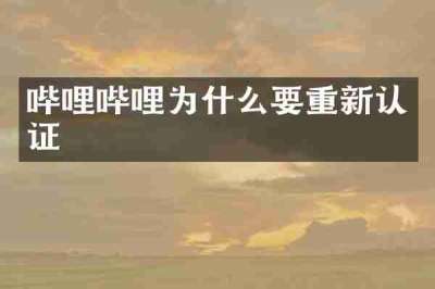 哔哩哔哩为什么要重新认证