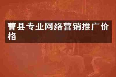 曹县专业网络营销推广价格