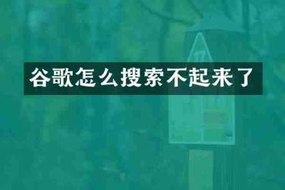 谷歌怎么搜索不起来了