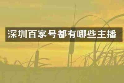 深圳百家号都有哪些主播
