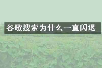 谷歌搜索为什么一直闪退