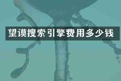 望谟搜索引擎费用多少钱