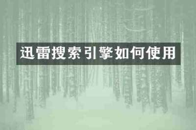 迅雷搜索引擎如何使用
