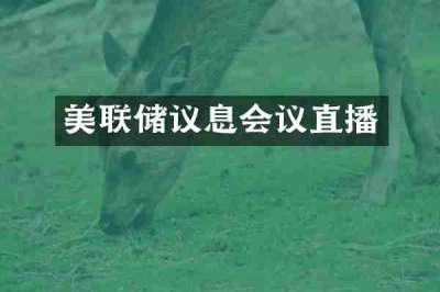 美联储议息会议直播